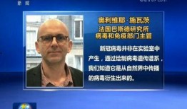 外国人新冠病毒爆料视频,外籍人士视角下的新冠病毒真相披露